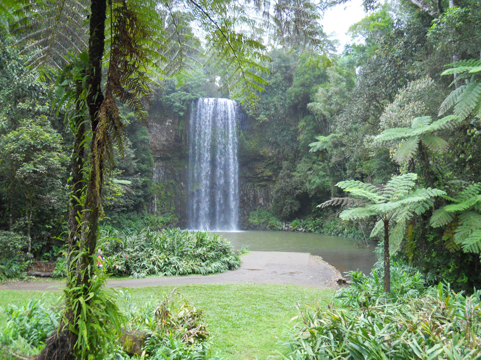 Millaa Millaa Falls, Daintree National Park, Queensland